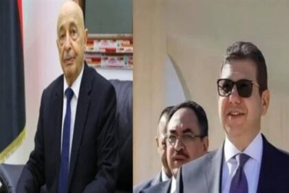 مصر تؤكد دعمها الكامل للحل الليبي-الليبي التوافقي