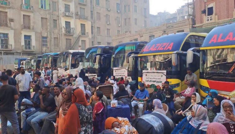 بدء تفويج أساتذة الجامعات السودانية وأسرهم من مصر ضمن برنامج العودة الطوعية
