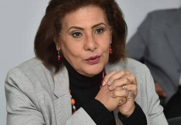تحرك قانوني ضد العنصرية.. أماني الطويل تتقدم ببلاغ رسمي لوزارة الداخلية المصرية ضد الإساءات الموجهة للسودانيين