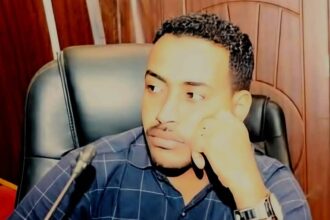 استعادة توازن السوق عبر قانون الأمن الاقتصادي