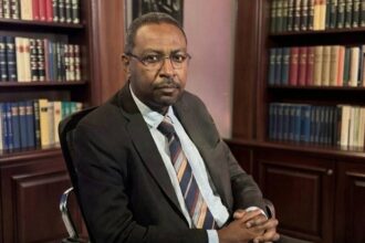 أمجد فريد ينفي اتهامات استخدام الأسلحة الكيميائية بالسودان