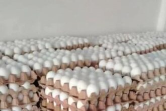 مفاجآت جديدة تنتظر أسواق الخرطوم الأسبوع المقبل